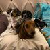 Angela M Kirchenwitz Templin - Facebook