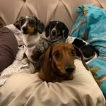 Angela M Kirchenwitz Templin - @kirchenwitztemplin - Instagram