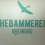 Angela Braun-Tesch - @hebammerei_rheingau - Instagram