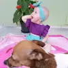 Elisangela Acker Tes - @elisangelaackertesch - TikTok