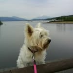 Angela Thomson - @angela.thomson.1217 - Instagram