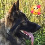 Angela Thomson - @angela.thomson.39 - Instagram