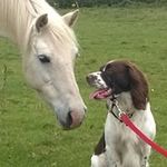 Angela Thomson - @angela.thomson.549 - Instagram