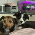 Angela Travis - Facebook