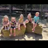angelatriggholifi - @angelatriggholifi - TikTok