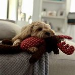 Angela Tully - Facebook