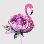Angela Tully - AFID - @pinkflamingoatpetals - Instagram