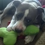angel tunstall - @angel__80008 - Instagram