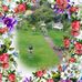 Angela Tunstall - Facebook