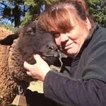 Angela Tyrrell - @nyrocalabradors - Instagram