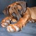Angela Tyrrell - Facebook