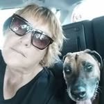 Angela Tyrrell - @angty222 - Instagram