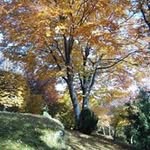 Angela Veronese - @veronese.angela.57 - Instagram