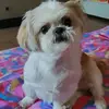 Angela Veronese - @angela.veronese4 - TikTok