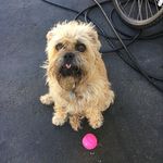 Angela vickers - @angelavickers4002 - Instagram