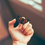 Angela Vickers - @vickers514 - Instagram