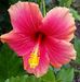 Angela Glover Warnock - Facebook