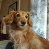 angelaweaver6725 - @angelaweaver6725 - TikTok