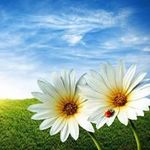 Angela Welch - @angela.welch.7374 - Instagram
