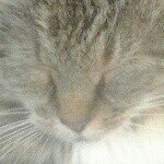 angela whitaker - @monkeypoo100_a - Instagram