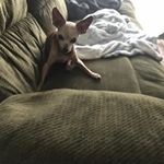 Angela Wilder - @angela.wilder.9216 - Instagram