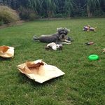 Angela Willson - @willson9609 - Instagram