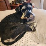 Angela Winder - @angela.winder.99 - Instagram