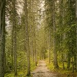 Angela Winder - @angelawinder1 - Instagram