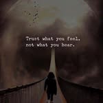 Angela Windle Kreidler - @kreidler05 - Instagram