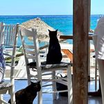 Angela Witt - @angela_witt72 - Instagram