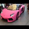 angelica harper - @omg.itz.angel - TikTok