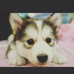 angel beatty - @angelbeatty314 - Instagram