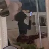 angelikmartinez182 - @angelikmartinez182 - TikTok