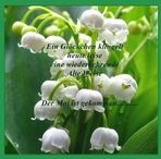 Angelika Arnold - Facebook