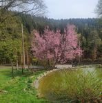 Angelika Beck - Facebook