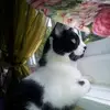 angelikaboltacz - @angelikaboltacz - TikTok