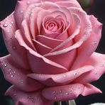 Angelika Decker - Facebook