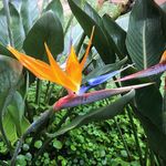 Angelika Eberl - @bbvliz - Instagram