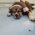 Angelika Ebert - @ebert300754 - Instagram