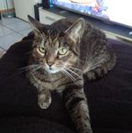 Angelika Ernst - Facebook