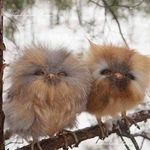 Angelika Ernst - @angelika.ernst.79 - Instagram