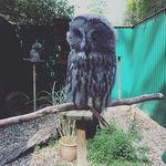 Angelika Ernst - @hameule - Instagram