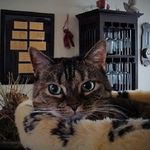 Angelika Ernst-Hemmerling - @a.ehemmerling_14.05 - Instagram