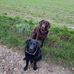 Angelika Esser - Facebook