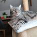 Angelika Gross - Facebook