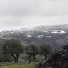 angelikaguzik53 - @angelikaguzik53 - TikTok