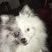 Angelika Head - Facebook