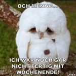 Angelika Hoffmann - @angelika_hoffmann - Instagram