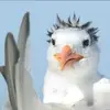 angelikahoffmann48 - @angelikahoffmann48 - TikTok