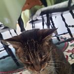Angelika Jansen - @angelikajansen5 - Instagram